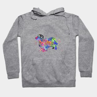 Clumber Spaniel Hoodie